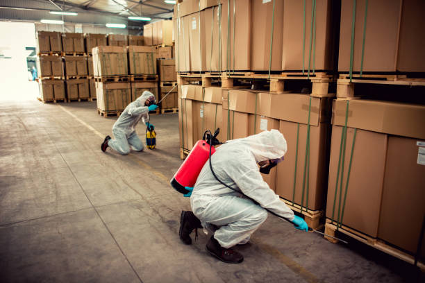 Best Bed Bug Extermination  in Collins, MS